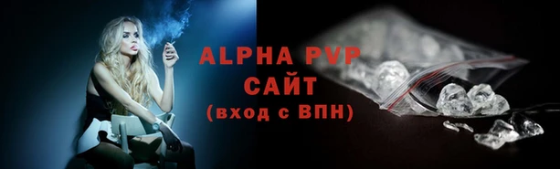 прущие крисы Белокуриха