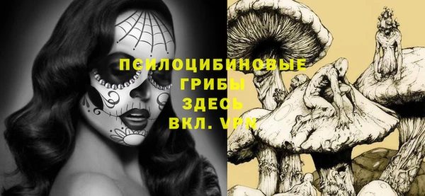 сатива Белоозёрский