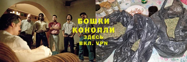 прущие крисы Белокуриха