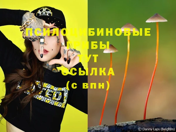 прущие крисы Белокуриха