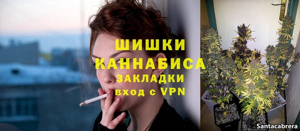 сатива Белоозёрский